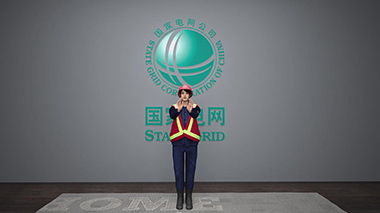 国家电网安全作业培训